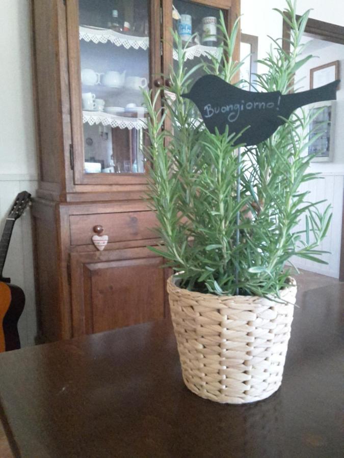 Agriturismo Cioccoleta Orvieto Zewnętrze zdjęcie