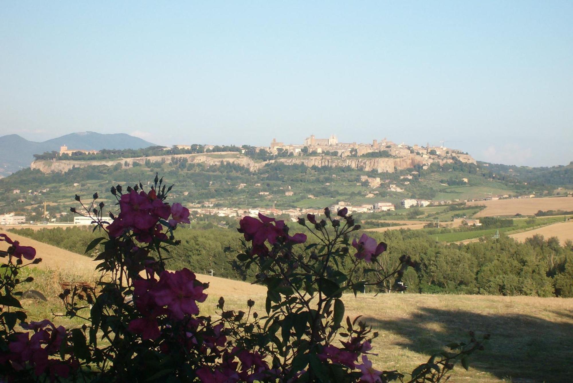 Agriturismo Cioccoleta Orvieto Zewnętrze zdjęcie
