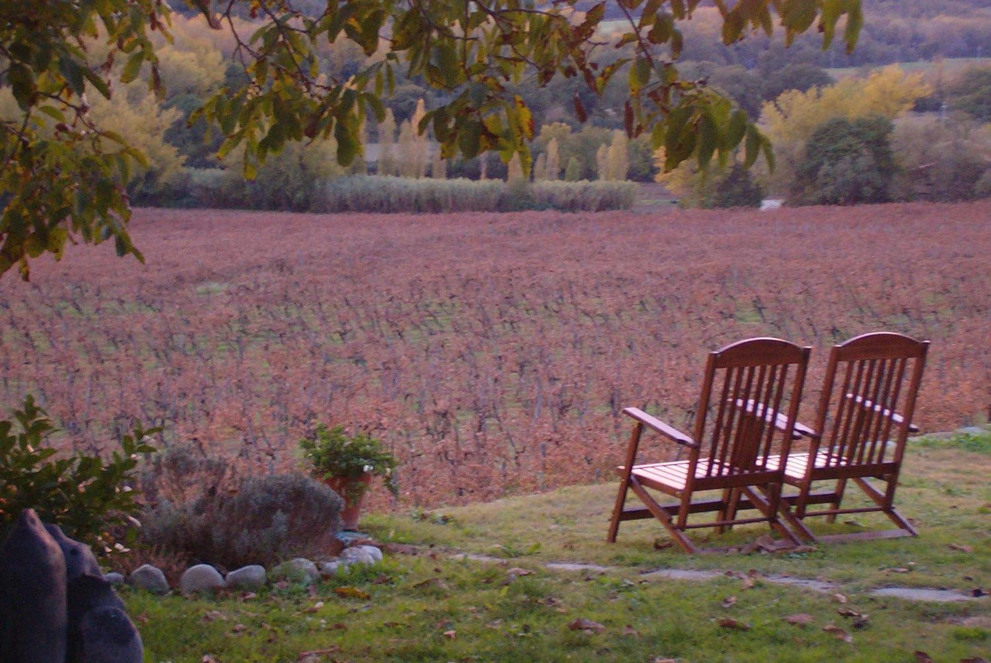 Agriturismo Cioccoleta Orvieto Zewnętrze zdjęcie