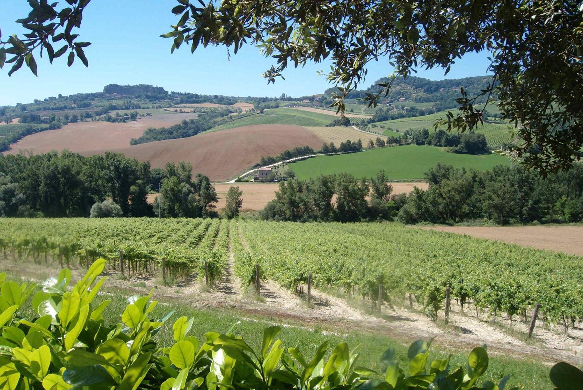 Agriturismo Cioccoleta Orvieto Zewnętrze zdjęcie